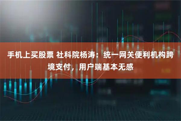 手机上买股票 社科院杨涛：统一网关便利机构跨境支付，用户端基本无感