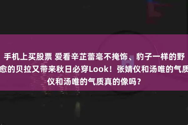 手机上买股票 爱看辛芷蕾毫不掩饰、豹子一样的野心~大病初愈的贝拉又带来秋日必穿Look！张婧仪和汤唯的气质真的像吗？
