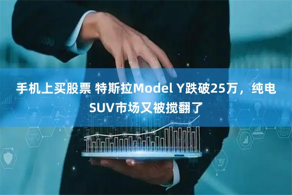 手机上买股票 特斯拉Model Y跌破25万，纯电SUV市场又被搅翻了