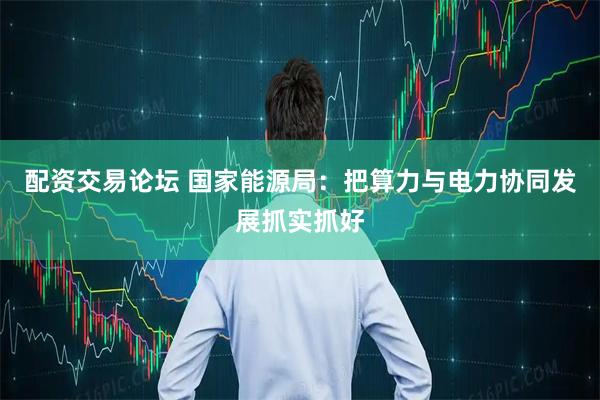 配资交易论坛 国家能源局：把算力与电力协同发展抓实抓好